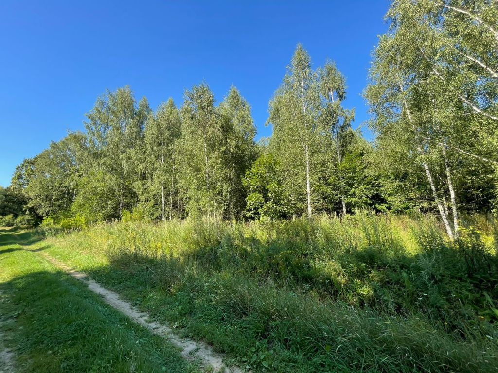 Продажа участка, Красногор