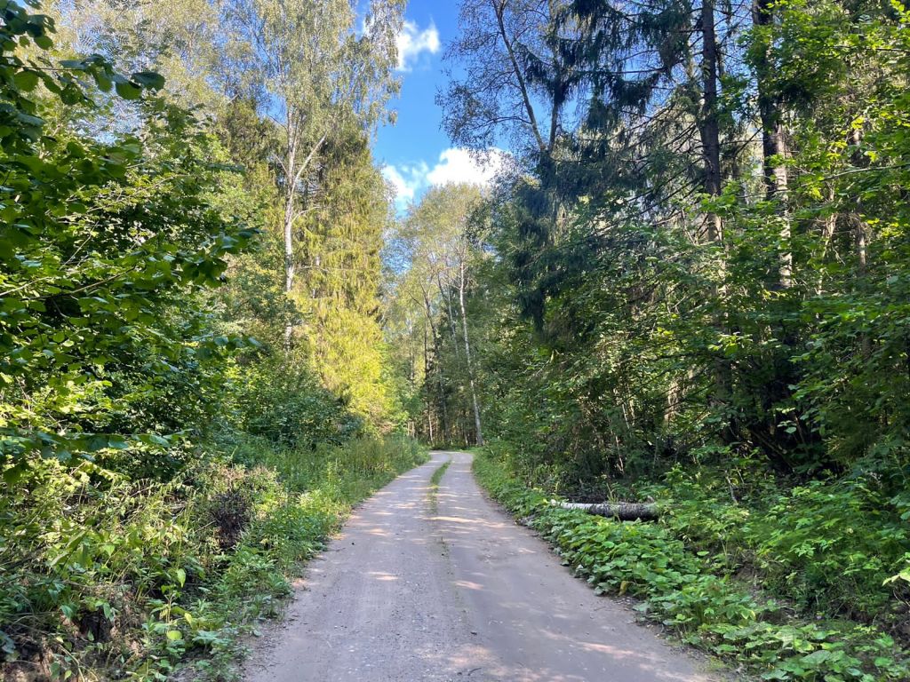 Продажа участка, Красногор