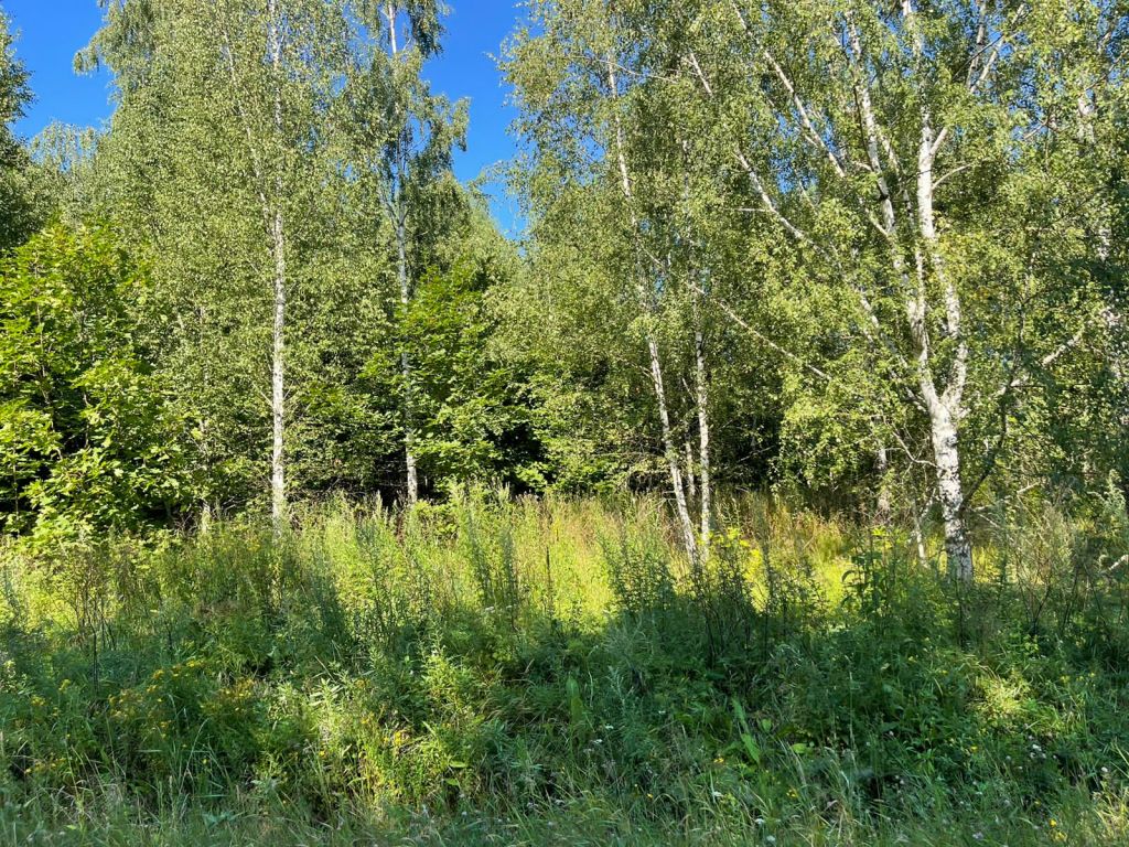 Продажа участка, Красногор