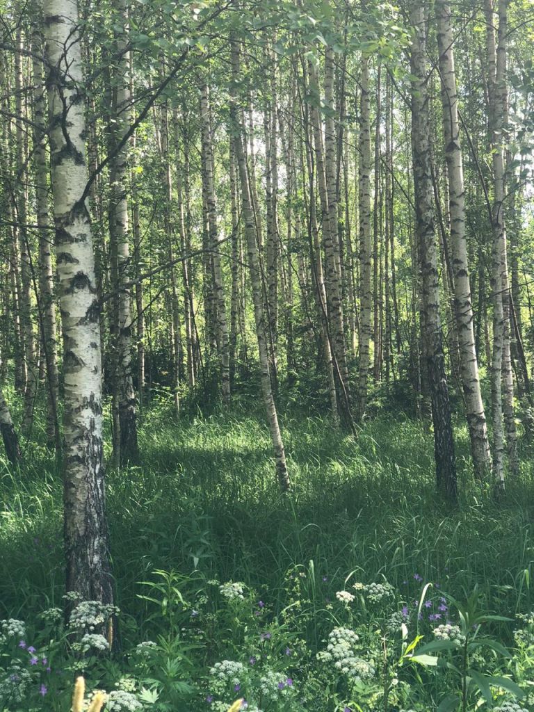 Продажа участка, Красногор