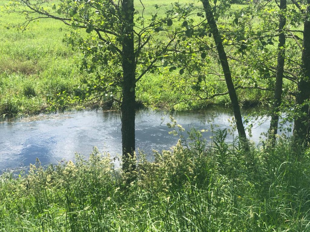 Продажа участка, Красногор