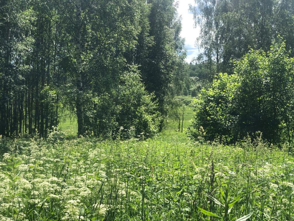 Продажа участка, Красногор