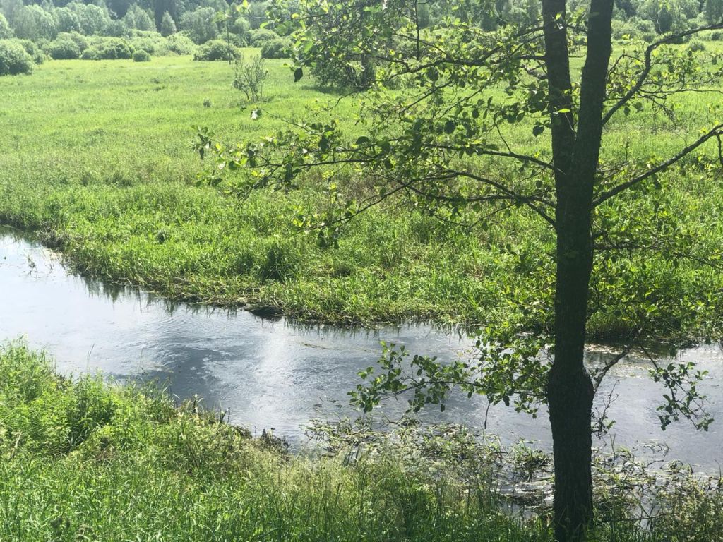 Продажа участка, Красногор