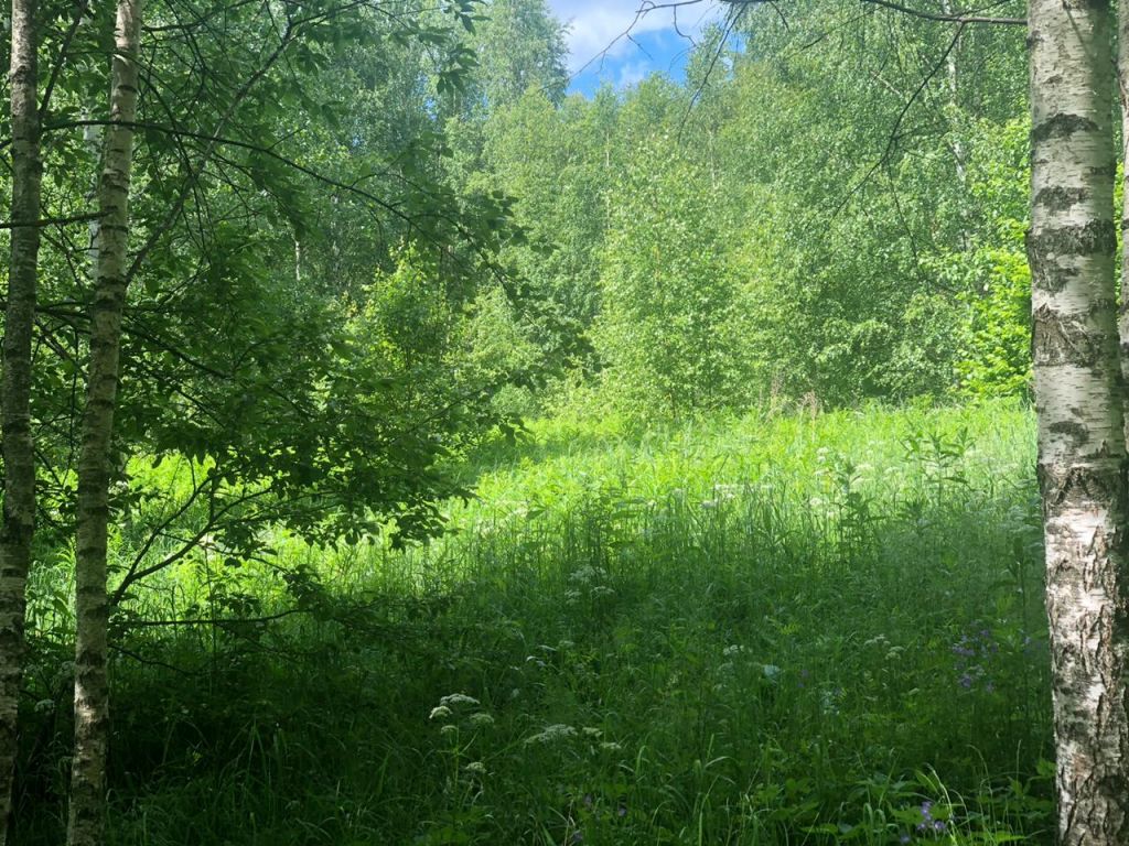 Продажа участка, Красногор