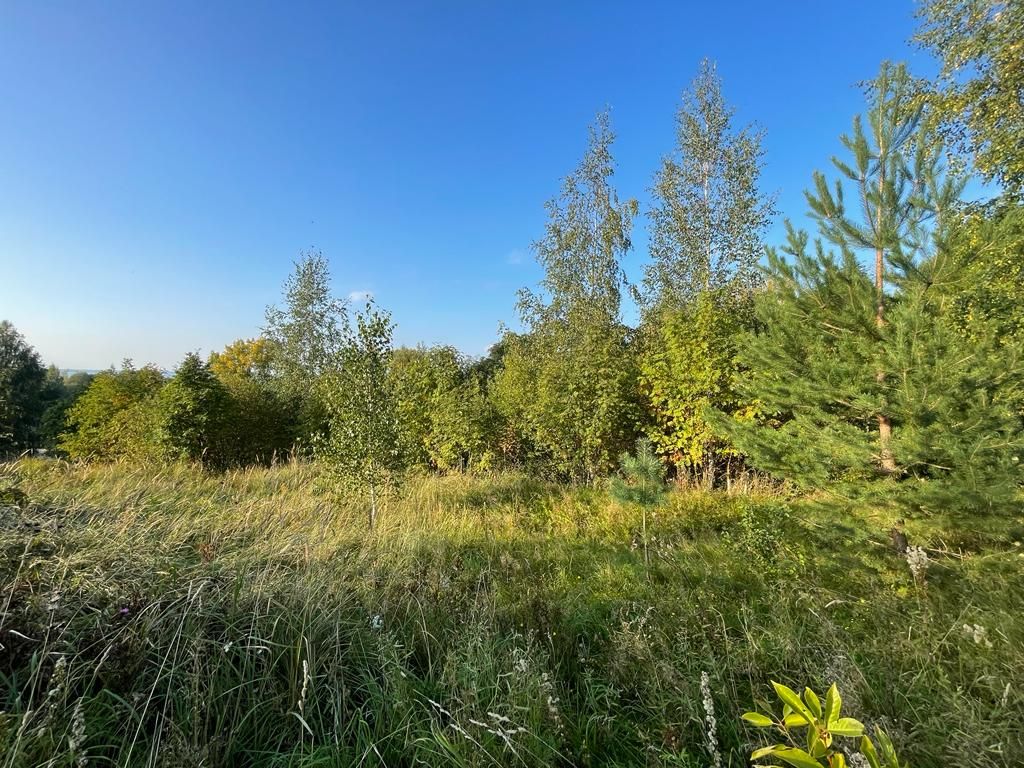 Продажа участка, Веськово