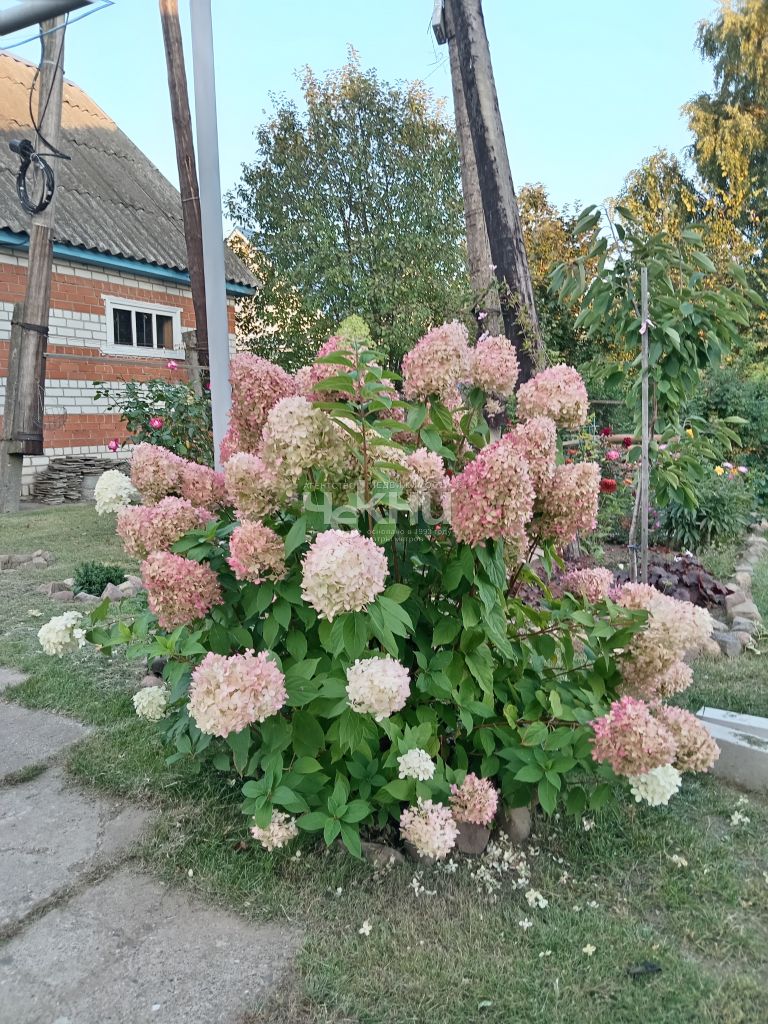 Продажа дома, 200м <sup>2</sup>, 14 сот., Городец, Механизаторов ул