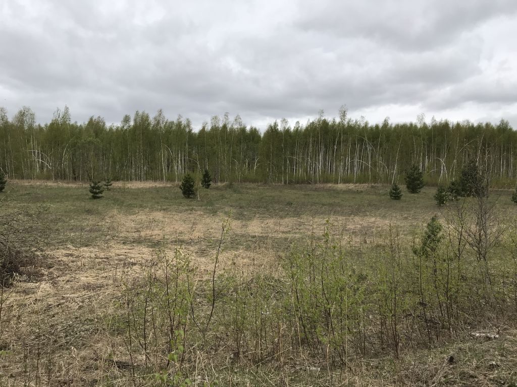 Продажа участка, Нижегородская