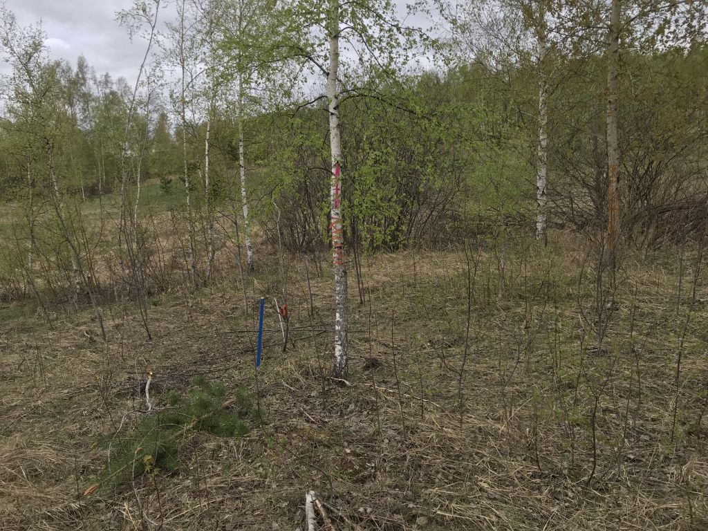 Продажа участка, Нижегородская