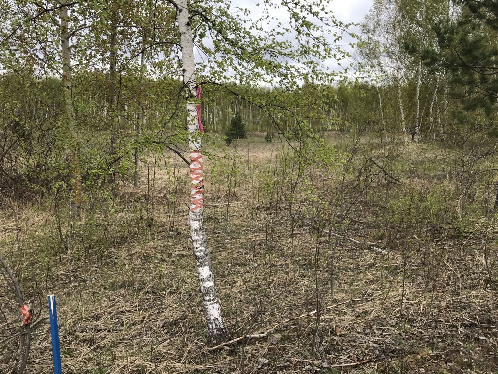 Продажа участка, Нижегородская