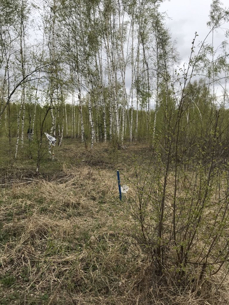 Продажа участка, Нижегородская