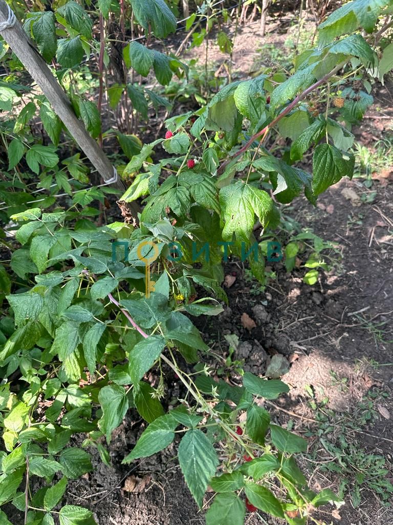 Продажа дома, 100м <sup>2</sup>, 15 сот., Змейка