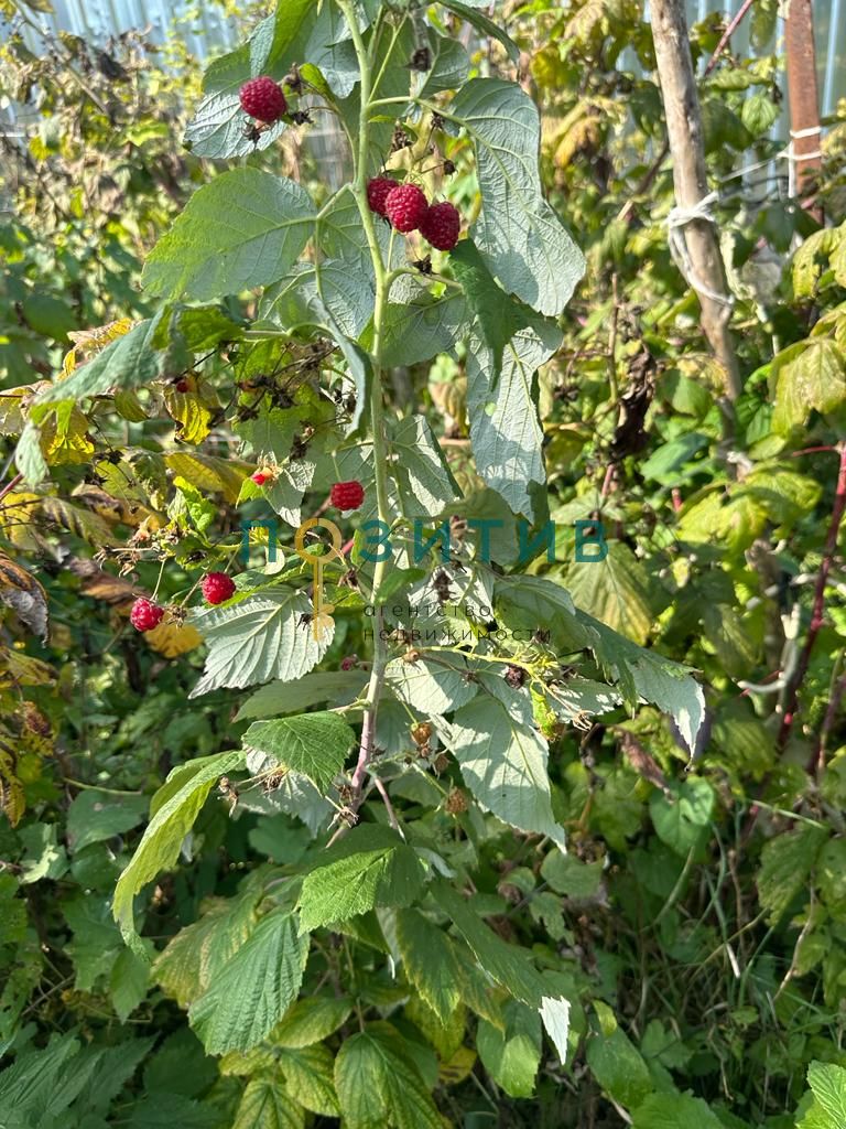 Продажа дома, 100м <sup>2</sup>, 15 сот., Змейка