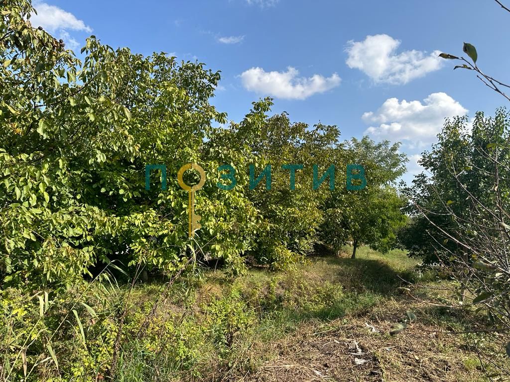 Продажа дома, 100м <sup>2</sup>, 15 сот., Змейка