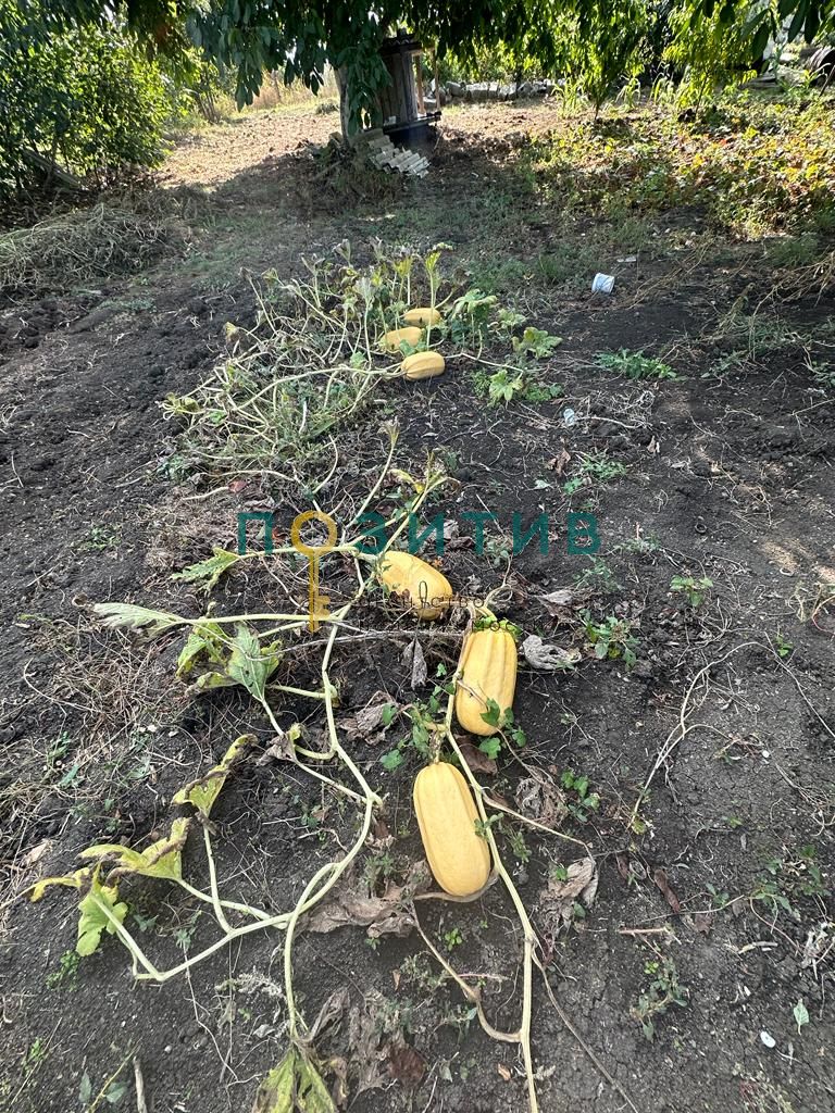 Продажа дома, 100м <sup>2</sup>, 15 сот., Змейка