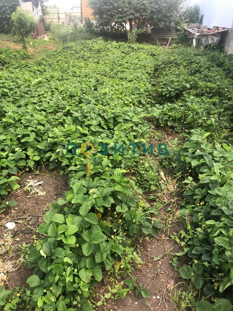 Продажа дома, 100м <sup>2</sup>, 15 сот., Змейка