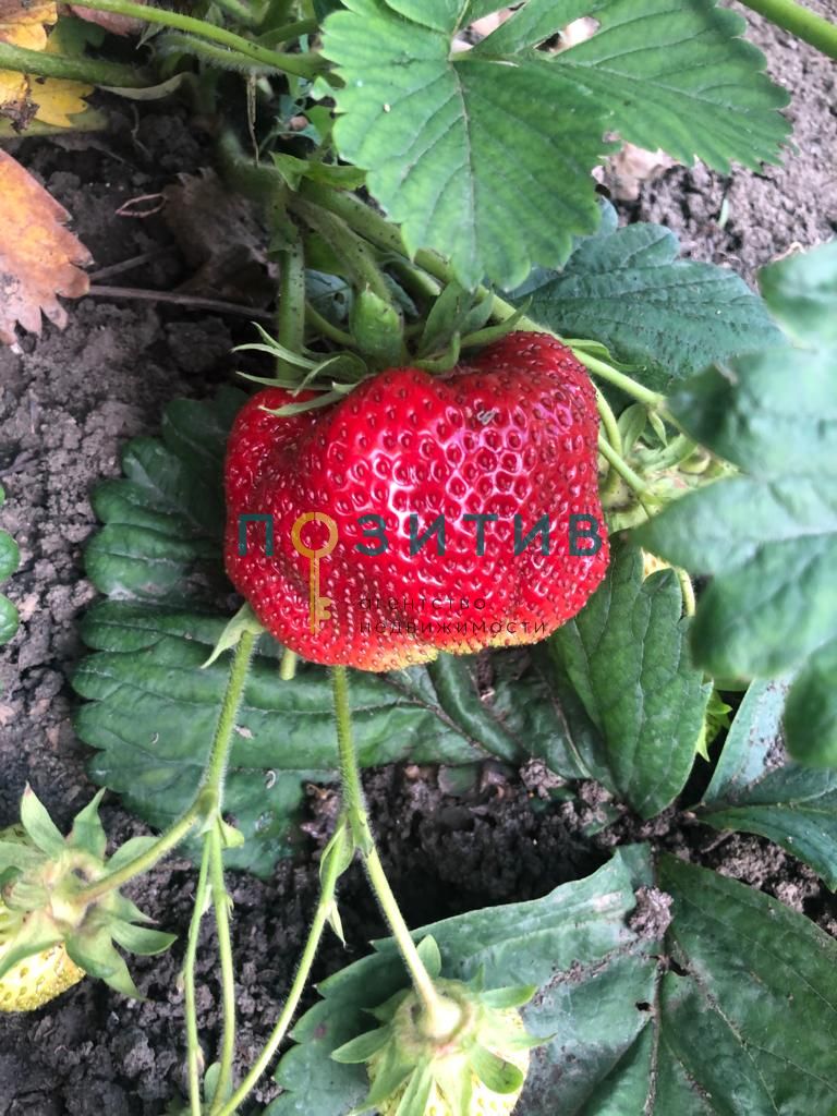 Продажа дома, 100м <sup>2</sup>, 15 сот., Змейка