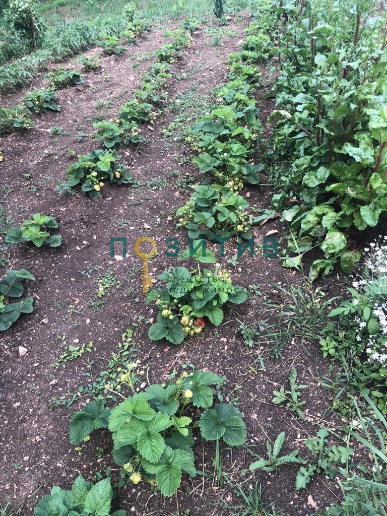 Продажа дома, 100м <sup>2</sup>, 15 сот., Змейка