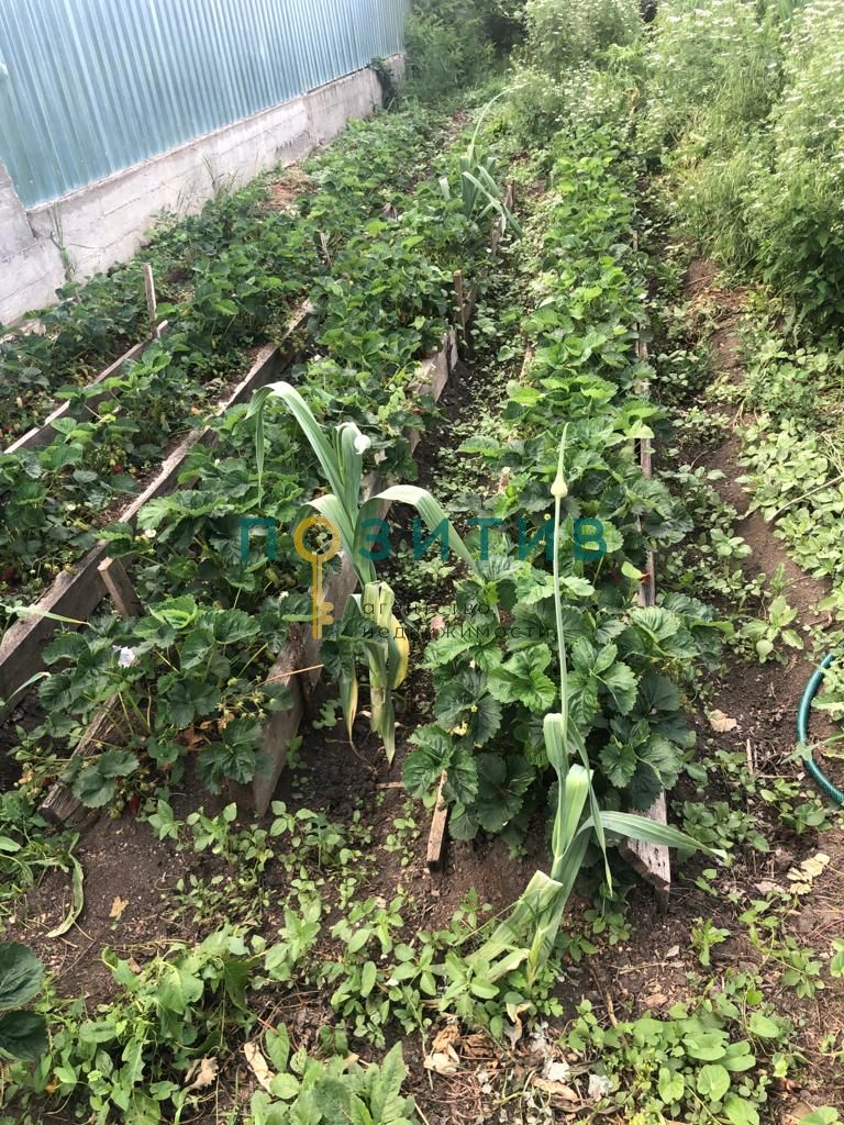 Продажа дома, 100м <sup>2</sup>, 15 сот., Змейка