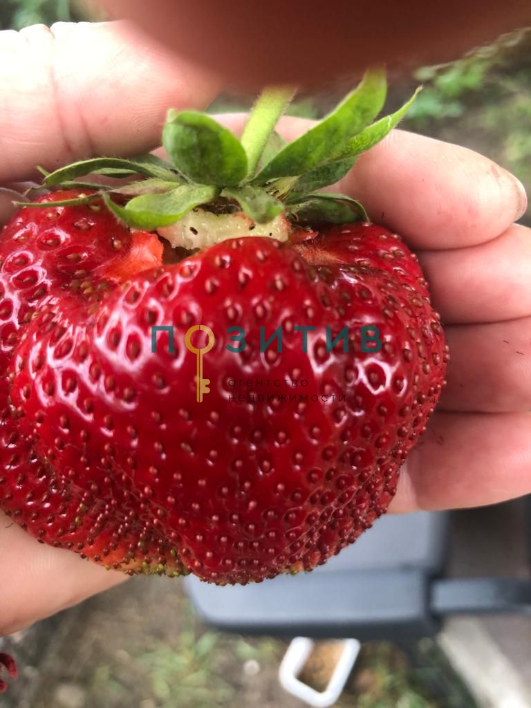 Продажа дома, 100м <sup>2</sup>, 15 сот., Змейка