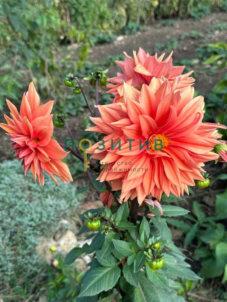 Продажа дома, 100м <sup>2</sup>, 15 сот., Змейка