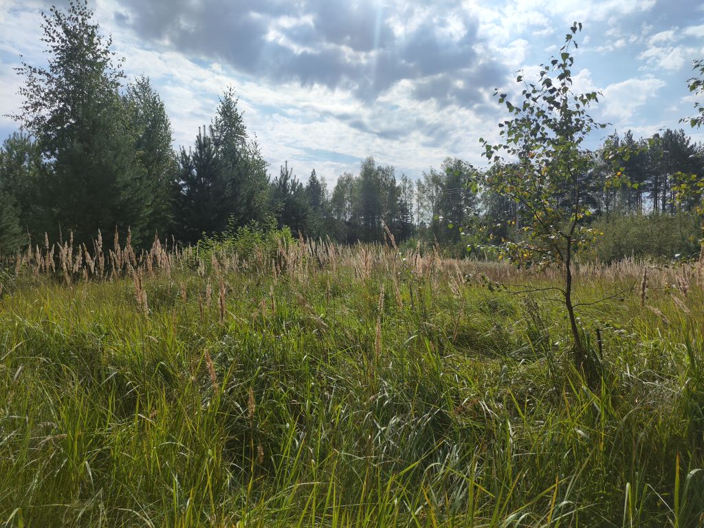 Продажа участка, Ладога, центральная,  8