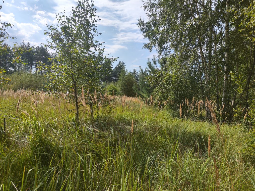 Продажа участка, Ладога, центральная,  8