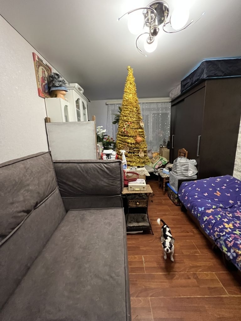 Продажа 1-комнатной квартиры, Ессентуки, Белоугольная ул,  12