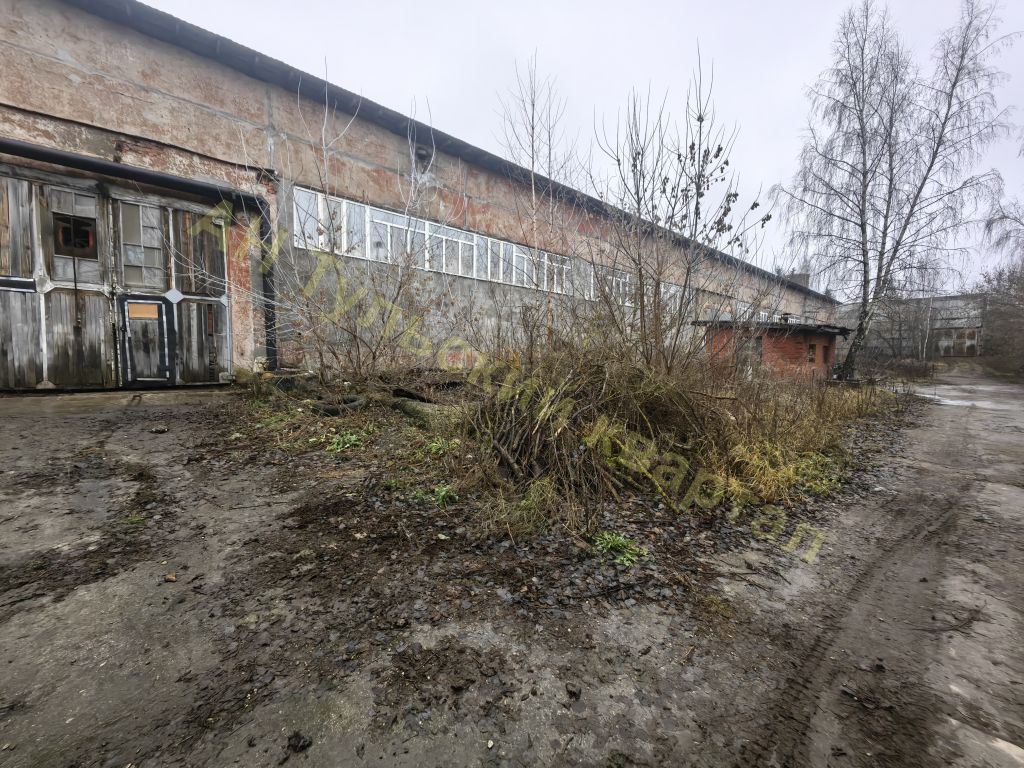 Аренда коммерческой недвижимости, 3066м <sup>2</sup>, Щекино, Пирогова ул,  43