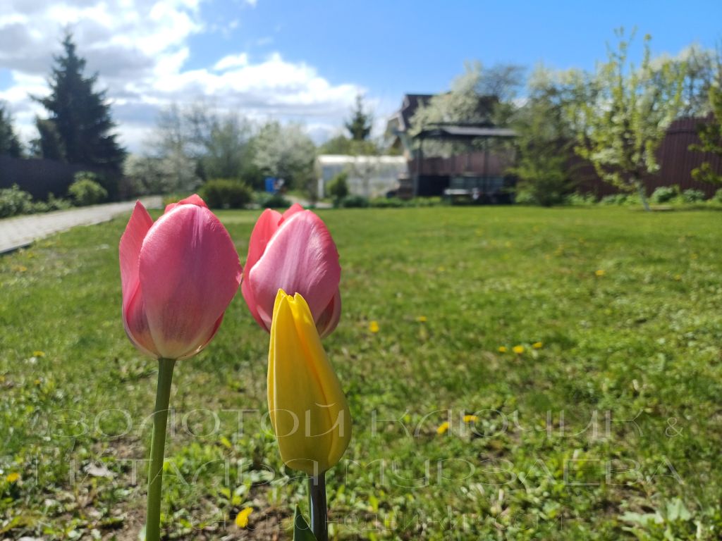 Продажа дома, 188м <sup>2</sup>, 12 сот., Ефимьево, Центральная