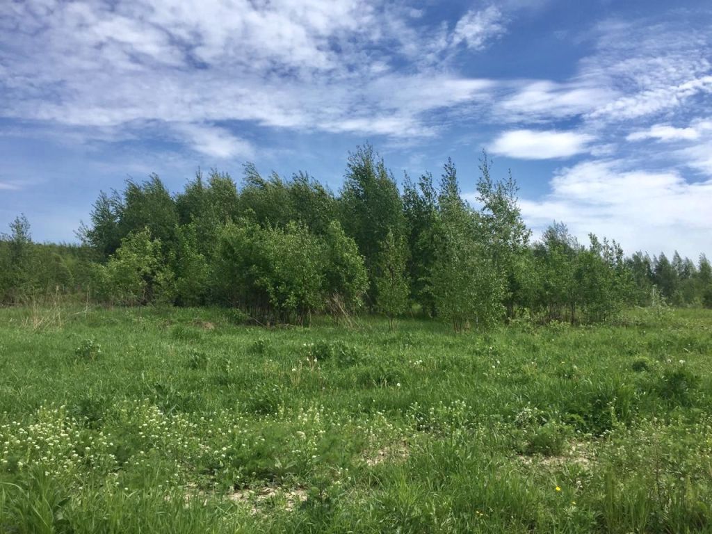 Продажа участка, Соловеново, Заречная ул