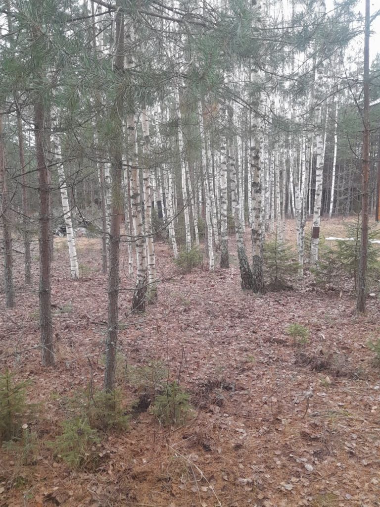 Продажа дома, 151м <sup>2</sup>, 11 сот., Березники