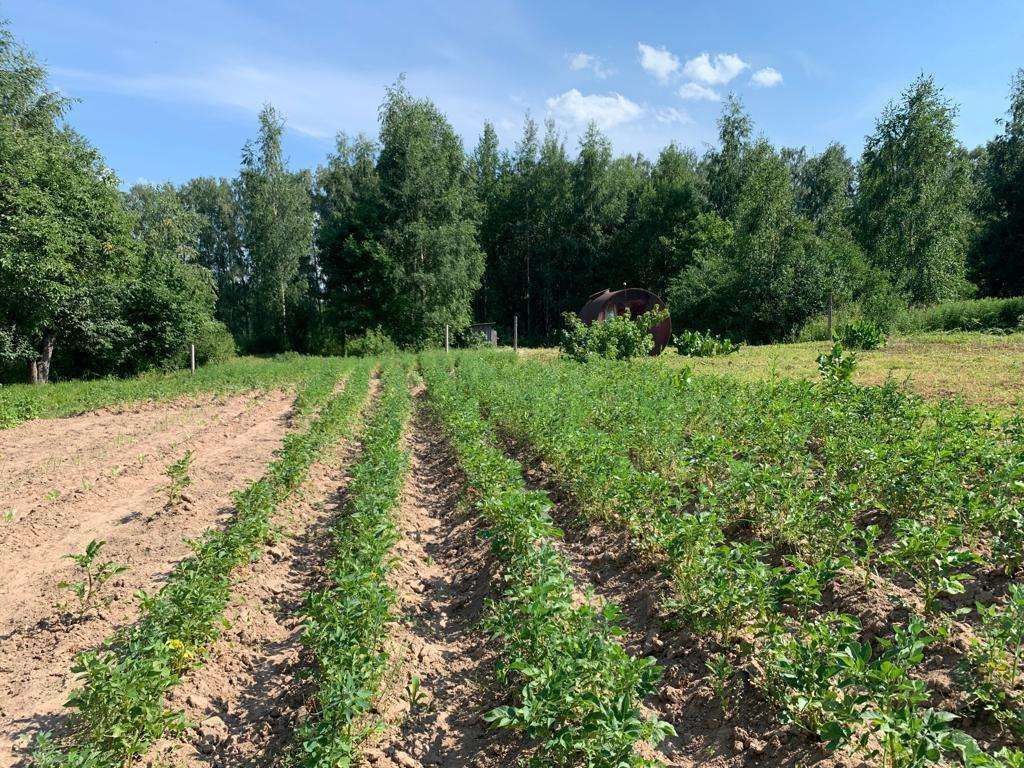 Продажа участка, Середняя, Дачная