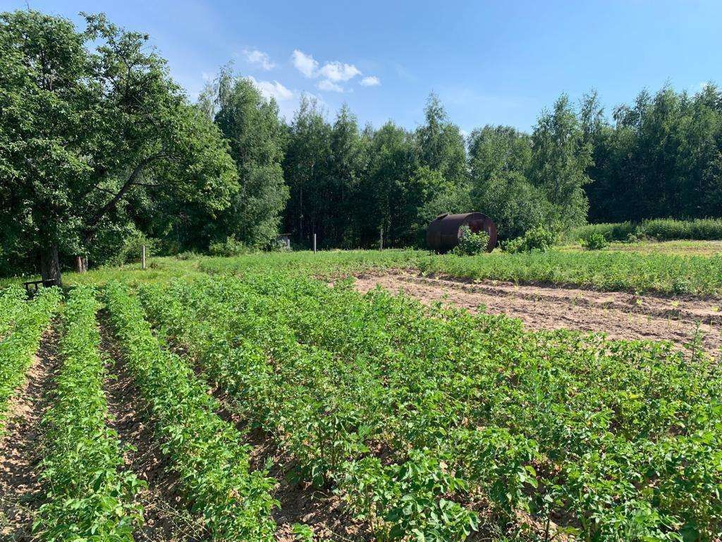 Продажа участка, Середняя, Дачная