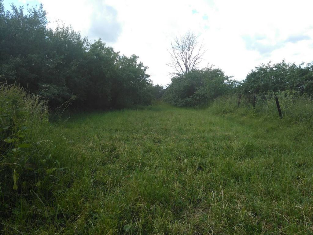 Продажа дома, 40м <sup>2</sup>, 10 сот., Паустово, Центральная