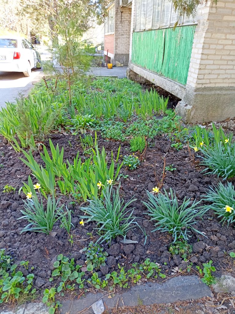 Продажа 2-комнатной квартиры, Батайск, Бекентьева ул,  6