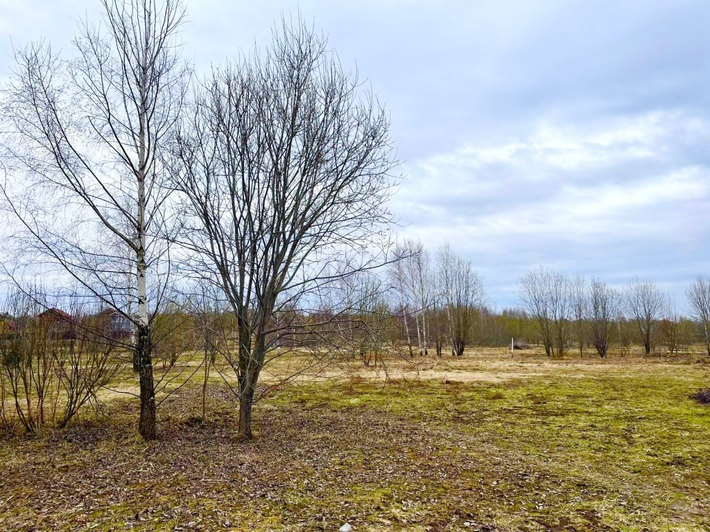 Продажа участка, Веськово