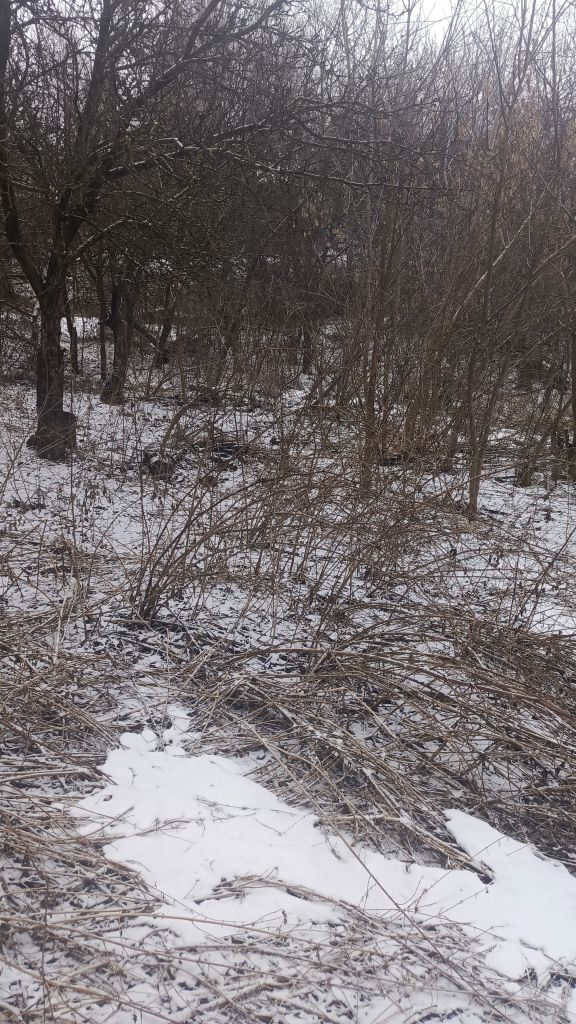 Продажа дома, 45м <sup>2</sup>, 4 сот., Владимир, Ново-Гончарная ул,  13