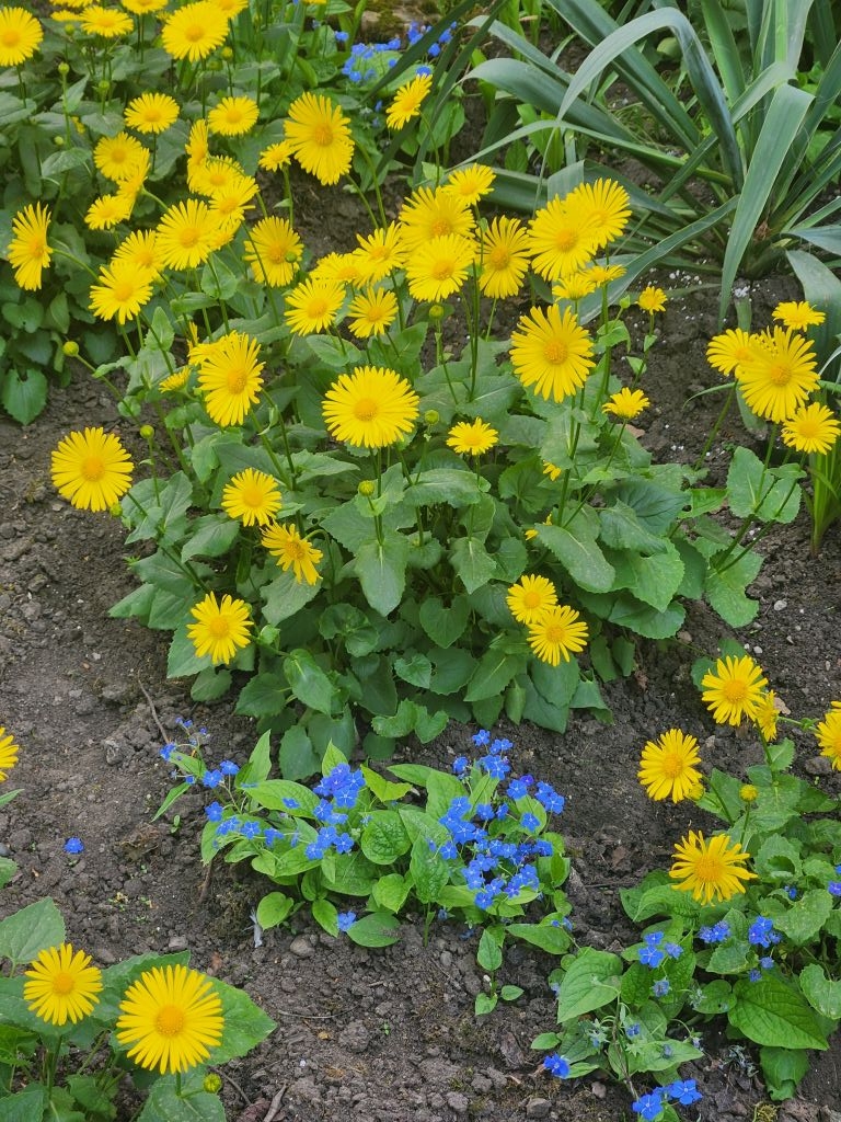 Продажа 1-комнатной квартиры, Ставрополь, Шпаковская ул,  94/3