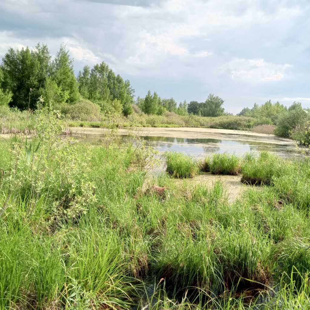 Продажа дома, 88м <sup>2</sup>, 6 сот., Горбатовка, Короленко,  30