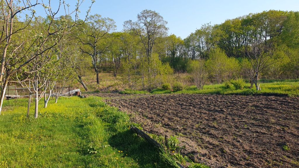 Продажа участка, Родничок, Садовая ул,  7