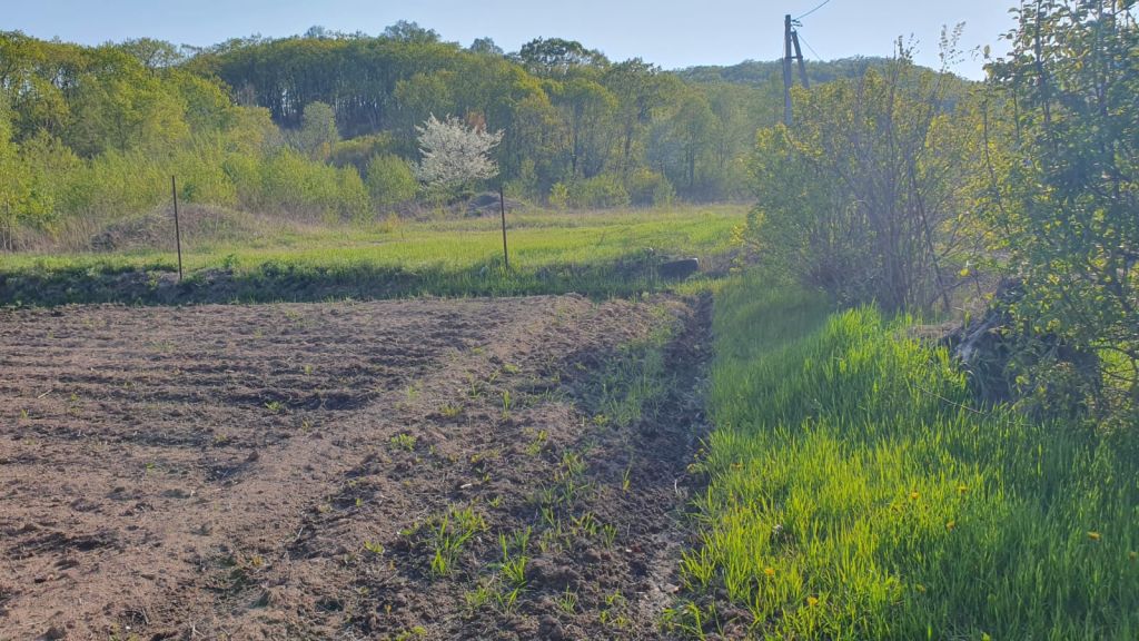 Продажа участка, Родничок, Садовая ул,  7