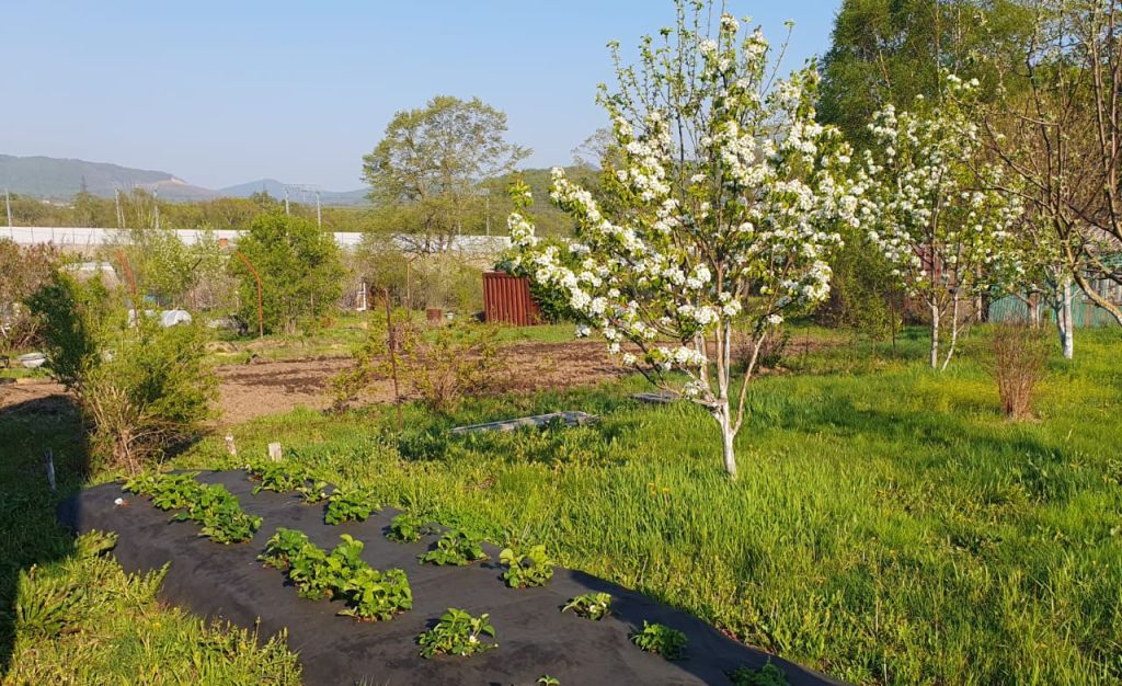 Продажа участка, Родничок, Садовая ул,  7