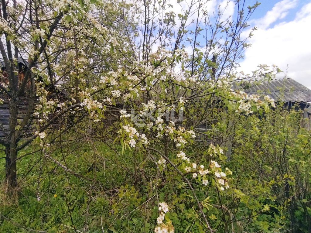 Продажа дома, 60м <sup>2</sup>, 11 сот., Владимирское, Октябрьская ,  11