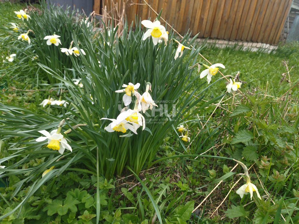 Продажа дома, 60м <sup>2</sup>, 11 сот., Владимирское, Октябрьская ,  11