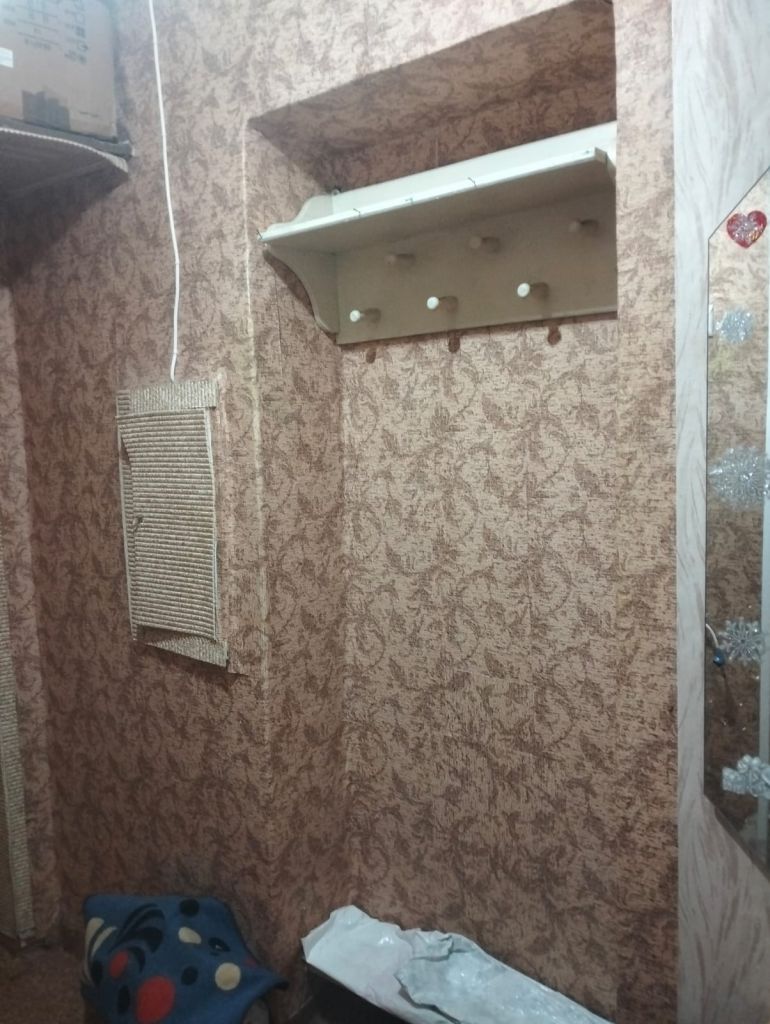 Продажа 1-комнатной квартиры, Дзержинск, Грибоедова ул,  19