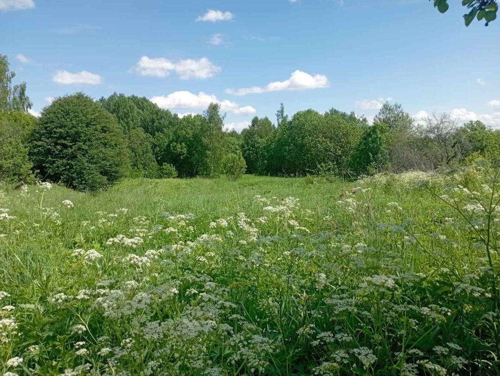 Продажа участка, Починки,  2