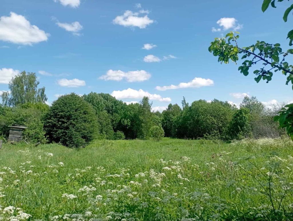 Продажа участка, Починки,  2