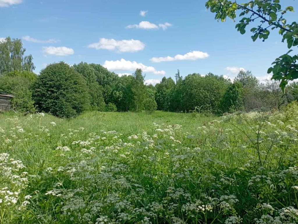 Продажа участка, Починки,  2