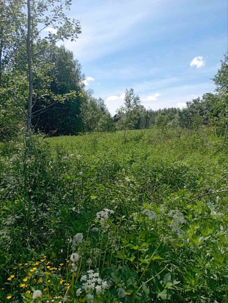 Продажа участка, Починки,  2