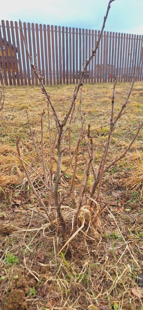 Продажа дома, 100м <sup>2</sup>, 13 сот., Шеховская